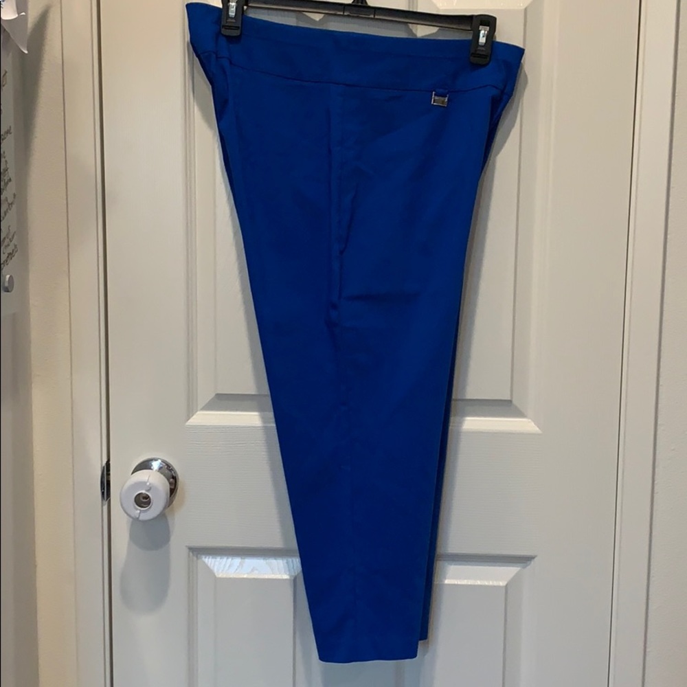 Blue Alfani pants